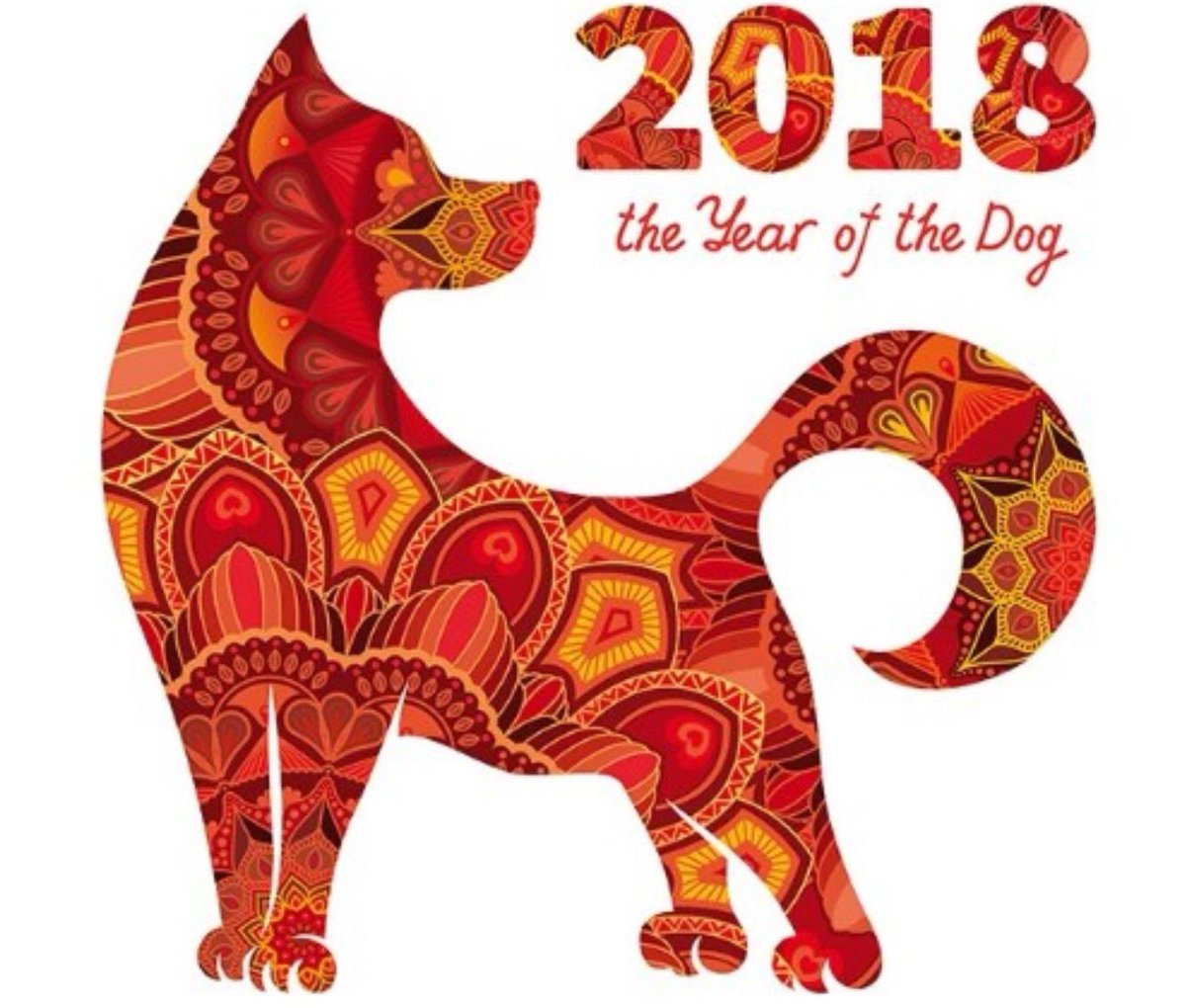YyashC's tweet photo. Happy New Year... #YearOfTheDog  #2018 #ChineseNewYear https://t.co/UNFOSXGqex