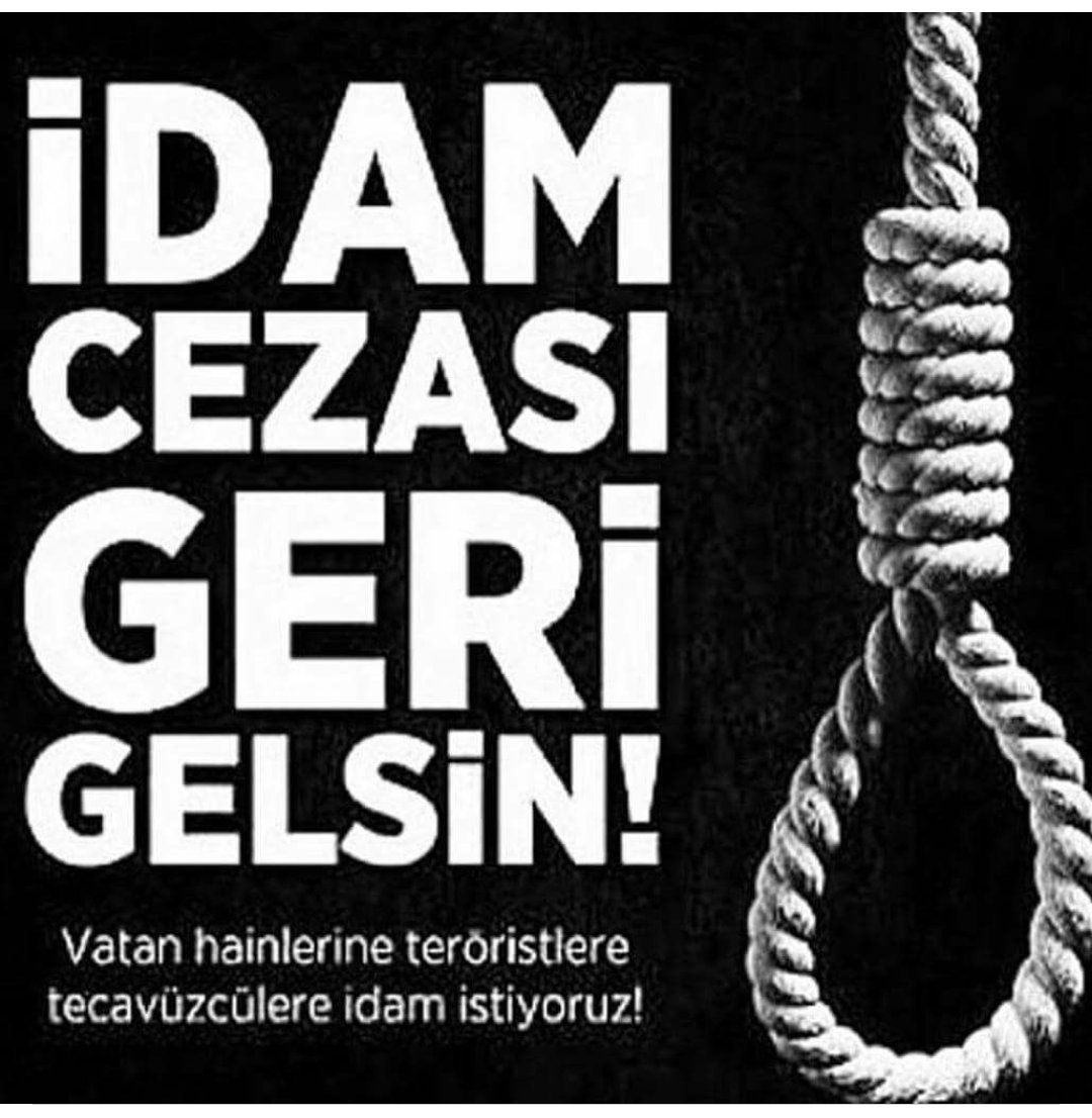 şeyda erez tweet media