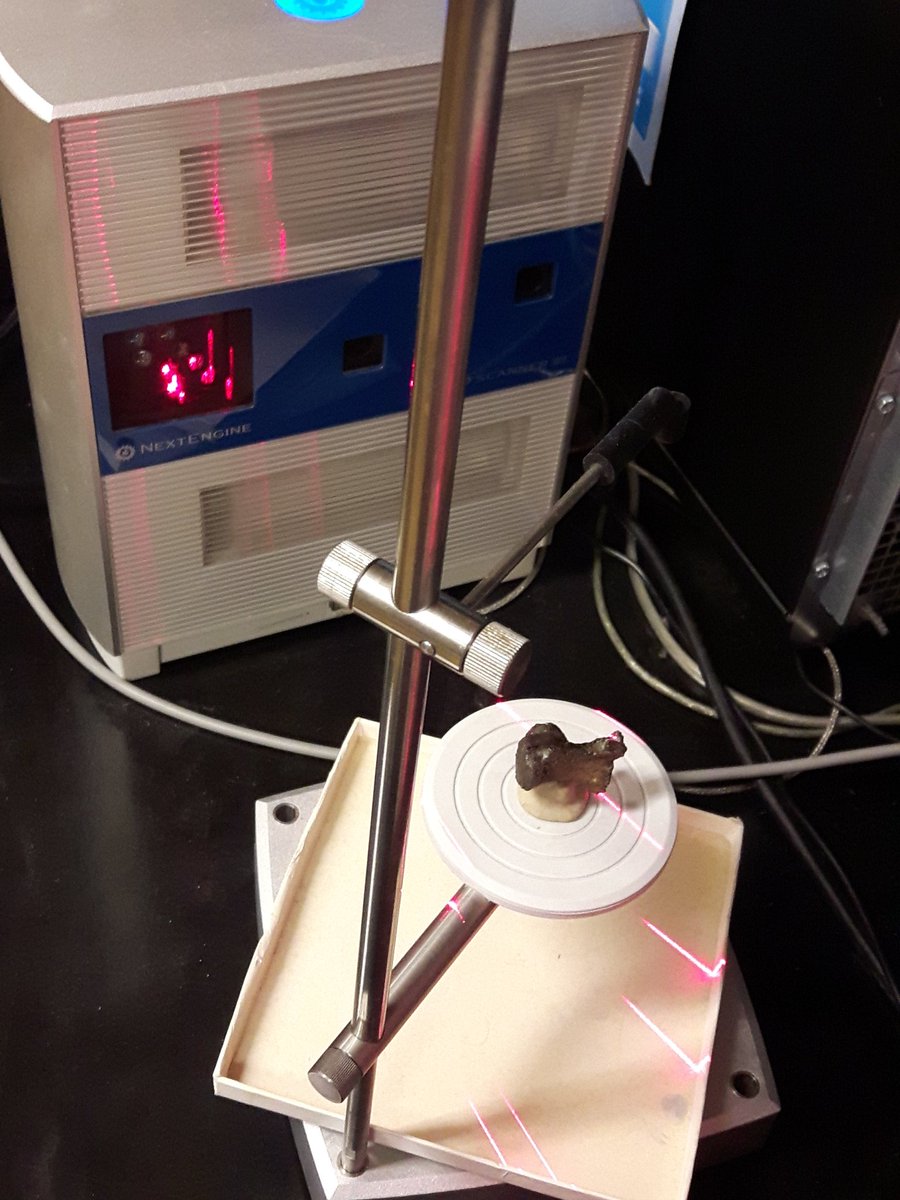 DoubleBeam's tweet image. For this #FossilFriday I'm showing off an ongoing #dinosaur vertebral kinematic project. Using a #NextEngine 3D scanner, we're scanning vertebrae which we'll then digitally rig up and move. Hopefully next week I'll have some awesome dino tech news to share...
#SciComm