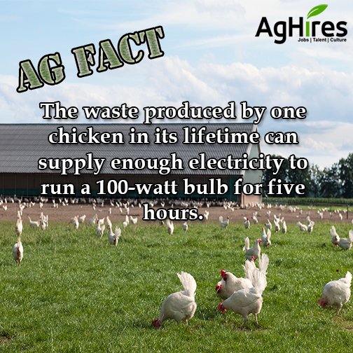 WillowridgeFfa's tweet photo. #funagfact @Willowridge_HS https://t.co/b0TAbsRmI7