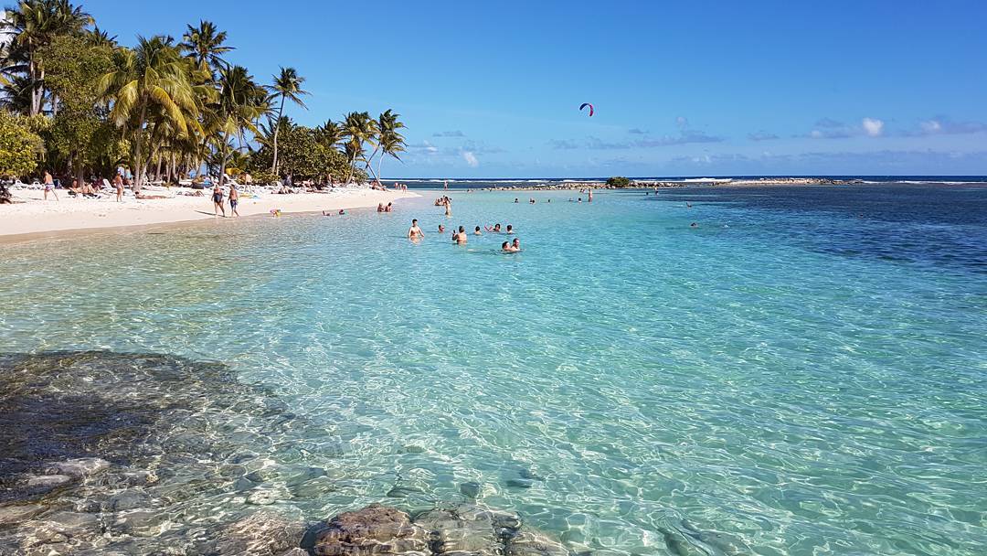 ilesGuadeloupe's tweet photo. Le temps idéal pour se rafraîchir avec un sorbet coco 👌🏻
📸 {via Instagram} ansobille https://t.co/8aZ3LXJ64M