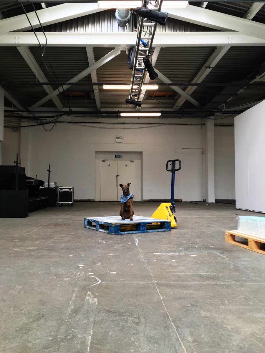 Happy #ChineseNewYear from our mascot and fantastic production assistant, Clyde! 

Here he is setting up the fair with us at <a href="/trumanbrewery/">The Truman Brewery</a> in 2016 

#YearOfTheDog #dogsoftwitter #woof