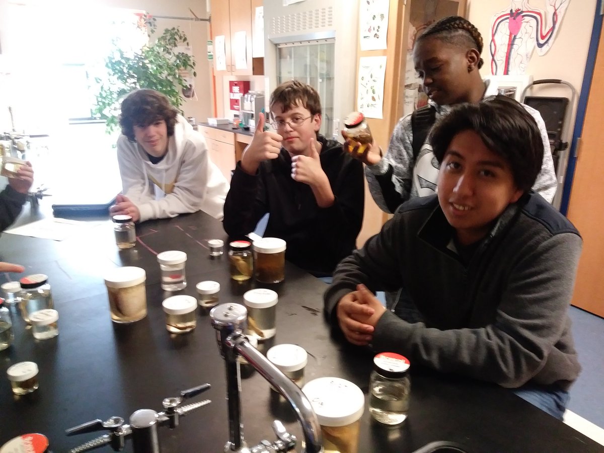 BioPhoLife's tweet photo. Taking time to review the first semester before our next unit @sshswildcats @SSISDWildcats @Mer_Townsend https://t.co/ptqv7cfouS