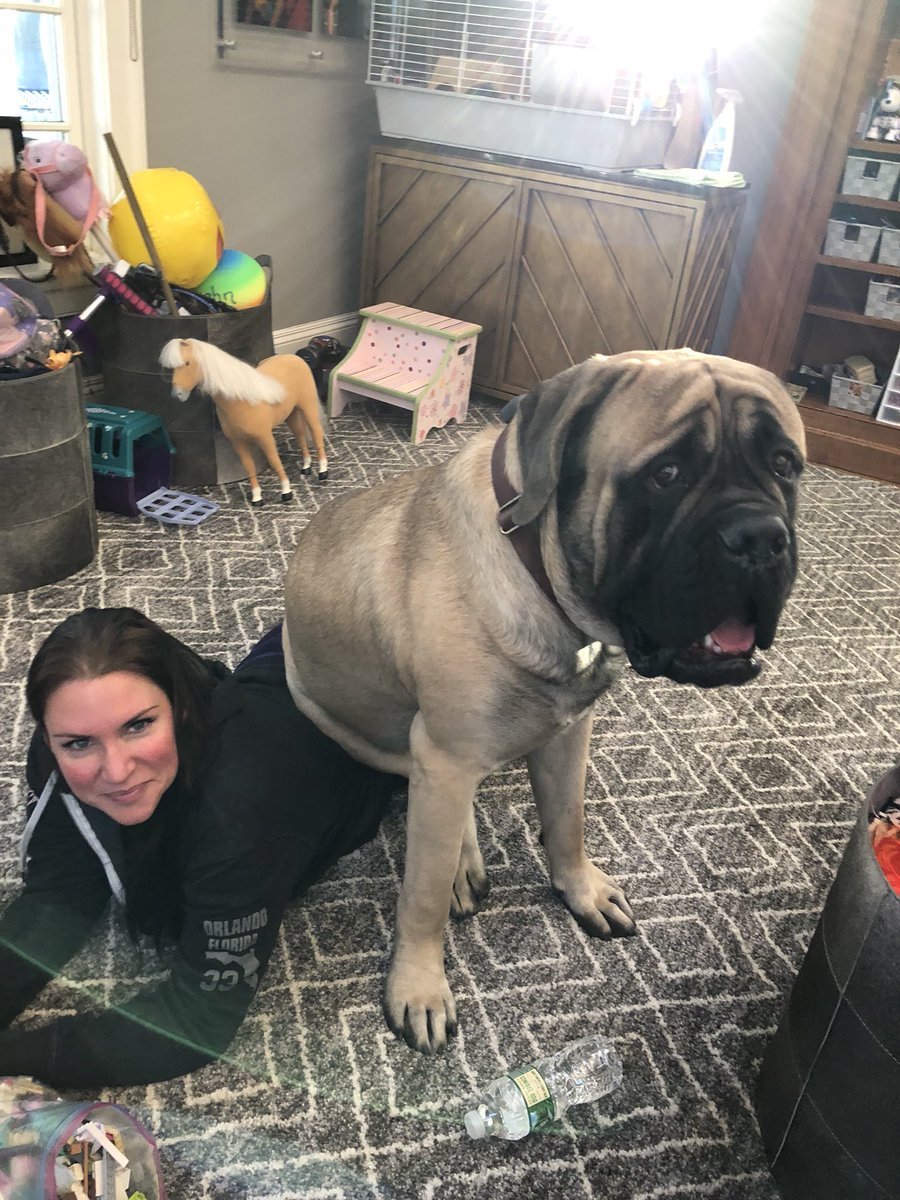 Stephanie Mcmahon House