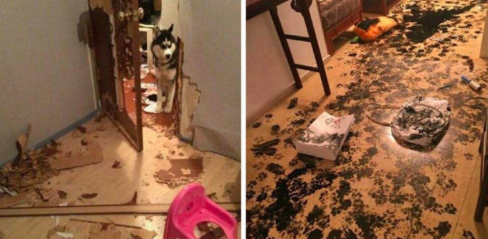 Прикольные картинки один дома