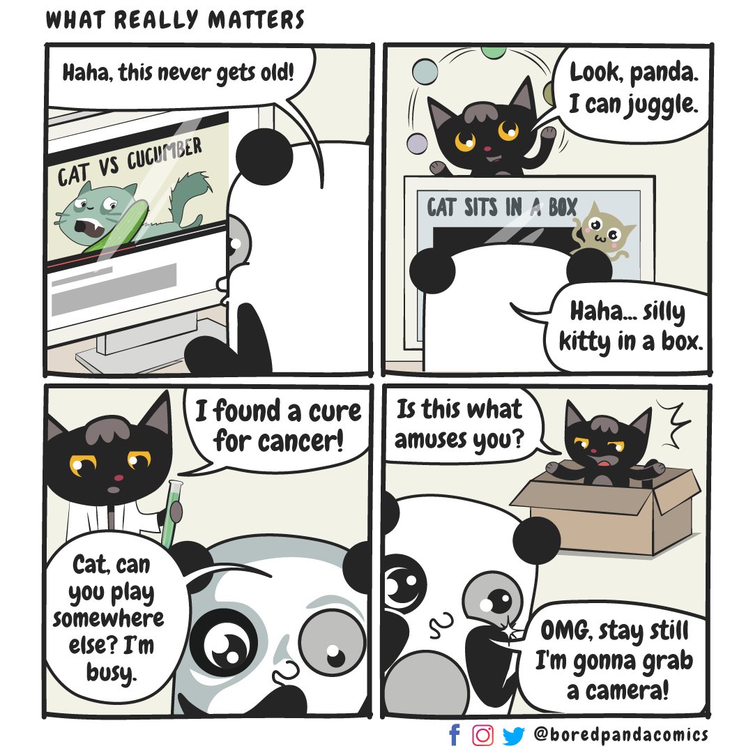 Bored Panda Comics Boredcomics Twitter