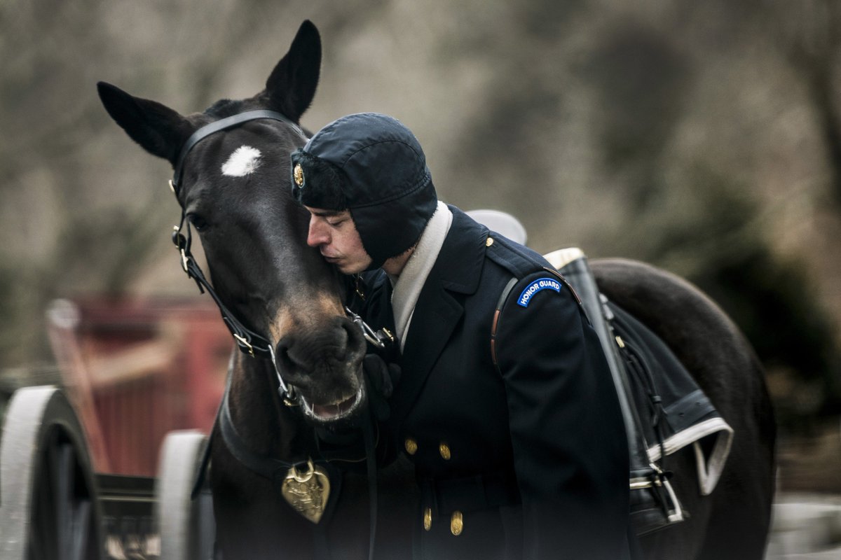 DeptofWar's tweet photo. Caisson Kiss 🐴💋
A #soldier kisses Hank, an 11-year-old horse assigned to the Caisson Platoon of the 3rd U.S. Infantry Regiment, known as “The Old Guard,” before funeral training at @ArlingtonNatl, #Virginia. #USArmyOldGuard #NationalLoveYourPetDay https://t.co/wkp7V4xKDz