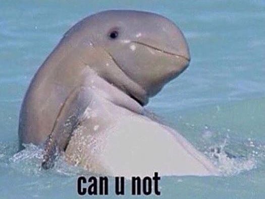 TalkC2me's tweet photo. When an ex starts liking all your pictures again. #cringe #nothanks https://t.co/prf7NkA0wH