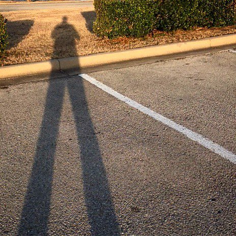 trawickimages's tweet photo. Good Morning StarShine! The shadows are long and directional Where are your mornings leading you? #robTaughtme #interthoughts https://t.co/R6VFTkvAW2 https://t.co/QloKlbfu72