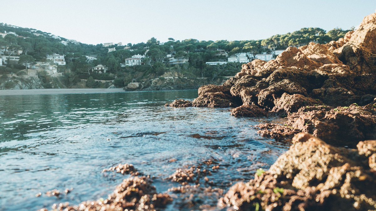 EmpordaLovers's tweet photo. Fotos d’#EmpordàLovers 😍

@manel_ferrando #Begur
@peragusti #Figueres
@jordihernaez #ElPortdelaSelva 
@estert7 Calella de #Palafrugell 

#Empordà #inCostaBrava https://t.co/puOOmU3Vrx