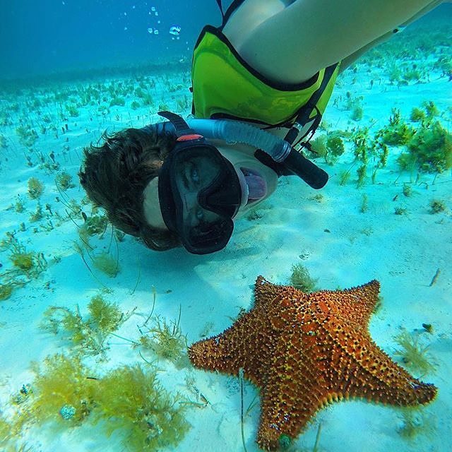"El Cielo" of Cozumel, Mexico

Plan and book your trip to Cozumel at zpr.io/nahYX

#MexicoXpertz #TripXpertz, #KnowBeforeYouGo, #Mexico, #MustdoCozumel
#Cozumel #XperienceMexico #AdventureMexico #VisitMexico #AmaCozumel 📷: @eljuanpazurita <a href="/mycozumel/">My Cozumel</a>
