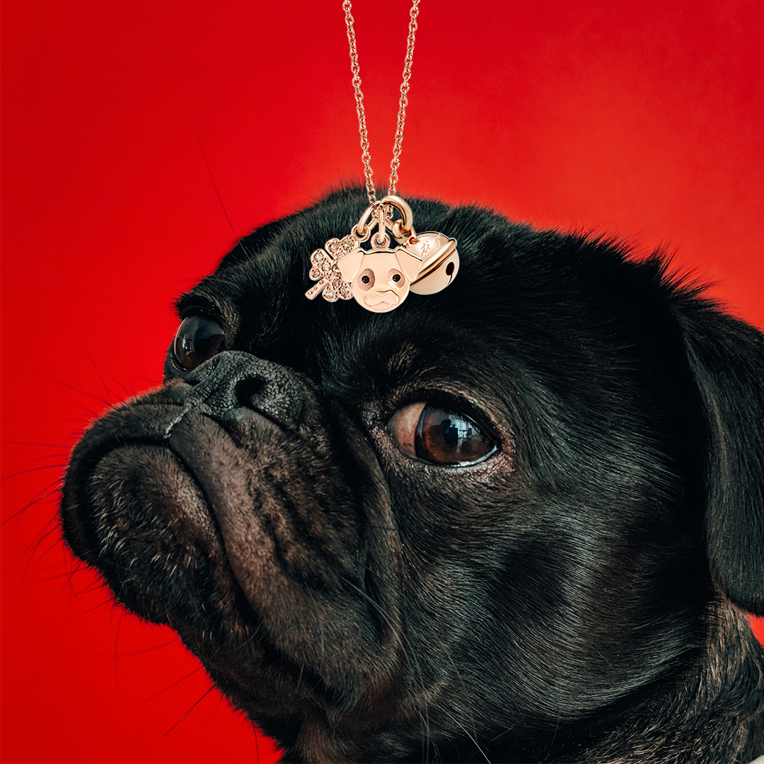 DodoJewels's tweet photo. 2018: Year of the Dog.  Celebrate the new year and catch one of the 6 rose-gold and enamel dog charms from the new collection. There's nothing as stylish as loyalty. Woof indeed. https://t.co/mLJLCUqyII
#TrueLove #DodoJewels #2018collection #NewCharms #RoseGold #ChineseNewYear https://t.co/UaLauOa6Fp