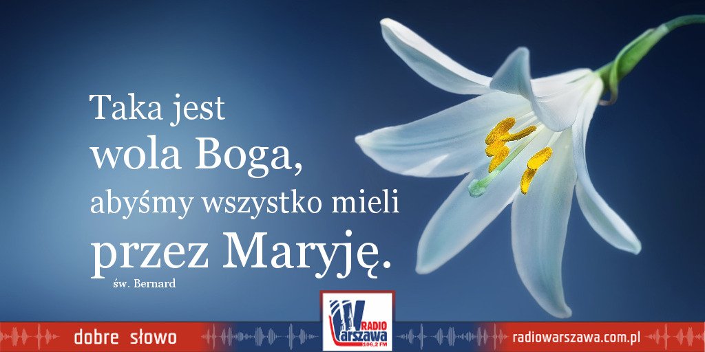 RadioWarszawa's tweet photo. Przez ręce Maryi zanośmy nasze prośby i modlitwy. Dziękujmy też za dar tej cudownej Pośredniczki. #DobreSłowo #lilia #czysty #biały #wola #wszystko #Matka #Maryja #dary #modlitwa #post https://t.co/dS2XDOG5Jz