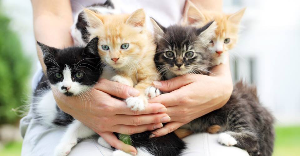 so cute !!