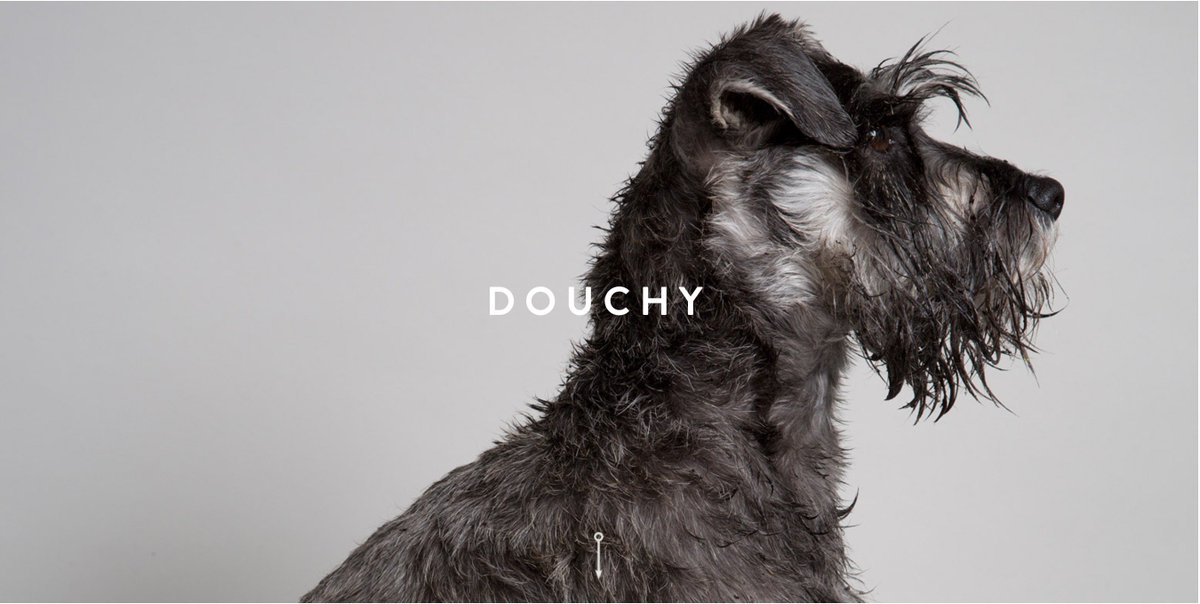 To celebrate #ChineseNewYear - this goes out to the pioneering pups of #alifelessordinary - without a doubt one of our daftest (and award-winning) campaigns with Dan Kenyon for <a href="/DogOneGrooming/">DogOne.</a> thelifelessordinary.co.uk #madebySB #YearOfTheDog #design #photography