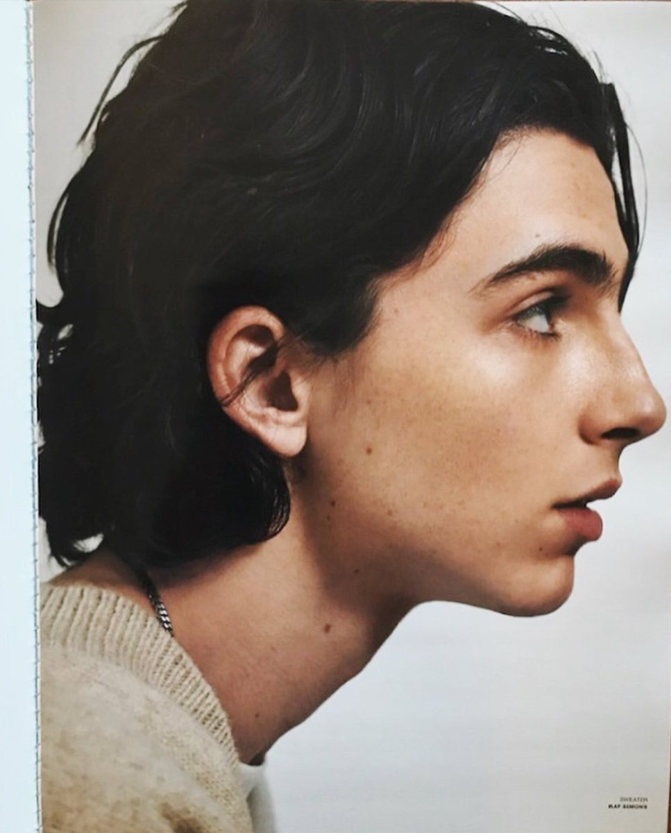 callmedreamer_'s tweet photo. il profilo di timothée é stato disegnato da un angelo https://t.co/rZRs63Sl24