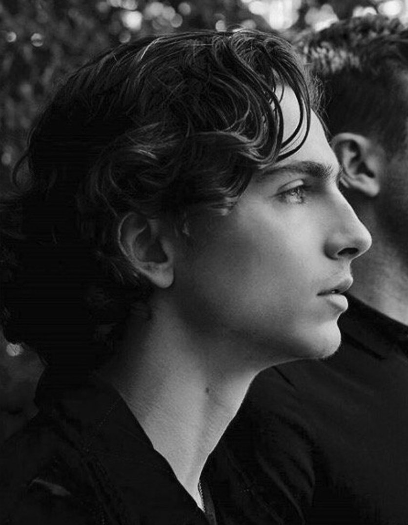 callmedreamer_'s tweet photo. il profilo di timothée é stato disegnato da un angelo https://t.co/rZRs63Sl24