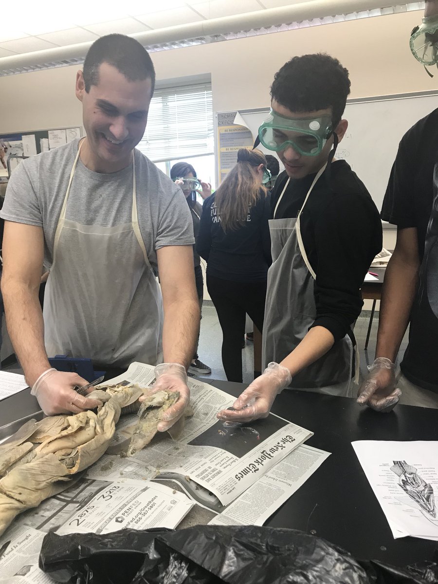 MPompanoScience's tweet photo. Mr. Oshana’s Marine Science Ss found babies during their dissection today! And a flounder in a shark’s stomach! #EHHSExplores #WeAreEHPS https://t.co/LQjcUC7ixi