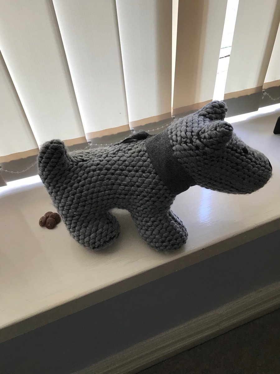 aberthedog's tweet photo. If @ashtonpeople @aspray_wirral @networx4biz are going to leave me on my own all day, they have to expect a little welcome home gift! They know I’m not house trained yet! #virtualdog #aberthedog https://t.co/8Id6IMrmyR