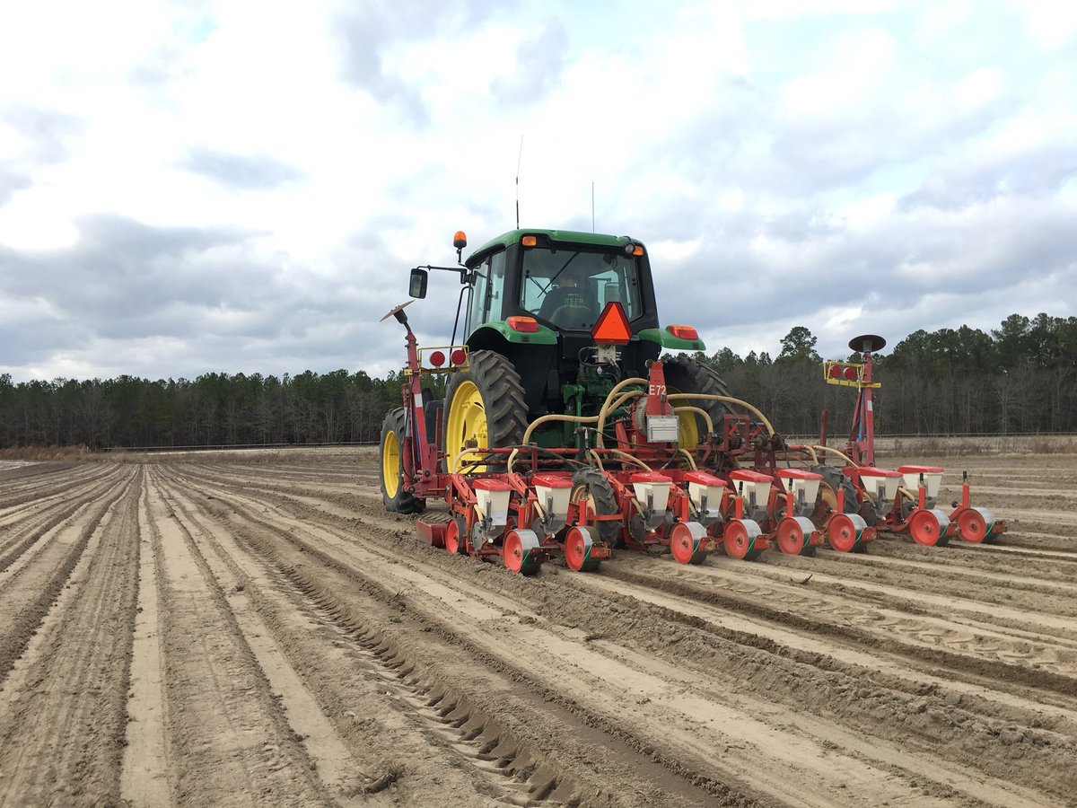 WPRawl's tweet photo. Planting #beets at our organic farm in South Carolina 🚜🌱💯 #organicfarming https://t.co/FbbwrdnmGN