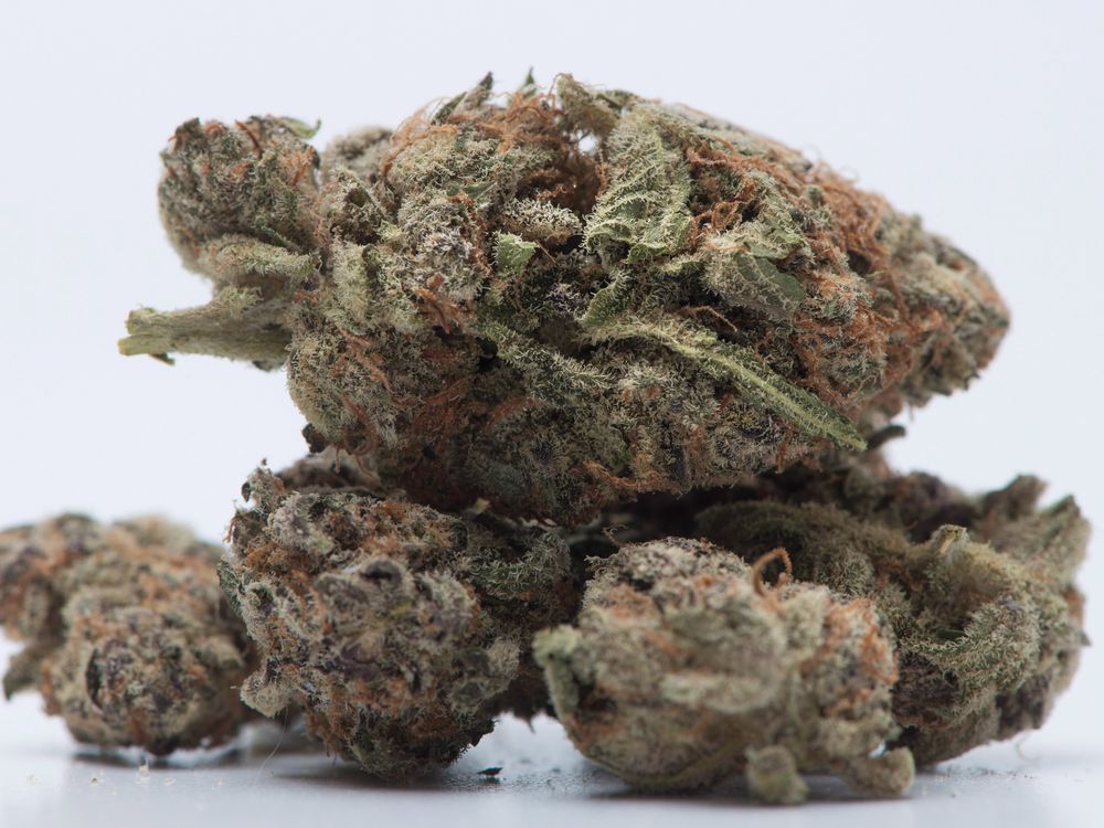tikunolamusa's tweet photo. March 1st, Canada's Sun Life Financial Inc. is adding medical cannabis as an option for its group benefits health-care plans. #cannabiscoverage #marijuanamovement #mmj #marijuanaismedicine #cannabistreatment #canadacares #tikunolam #repairtheworld π https://t.co/I6sb9GGAVc https://t.co/mvUBJGJpVz