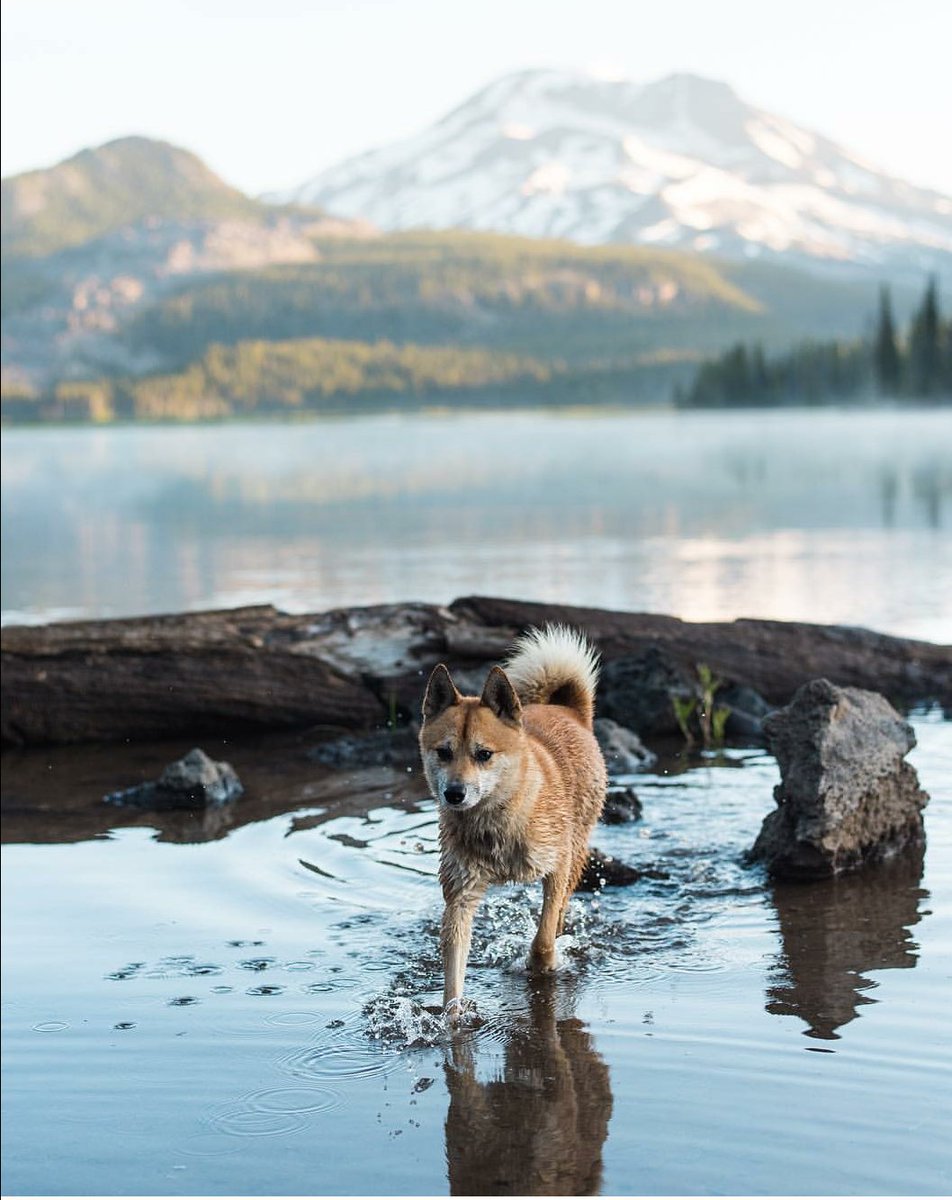 selenad0614's tweet photo. #chsinspire 
@nikon_photography_

I am inspired by the way you capture nature you make the outside world as beautiful as you see it through your own eyes you capture it not only with the camera but with your vision https://t.co/0OiLmm4Zin