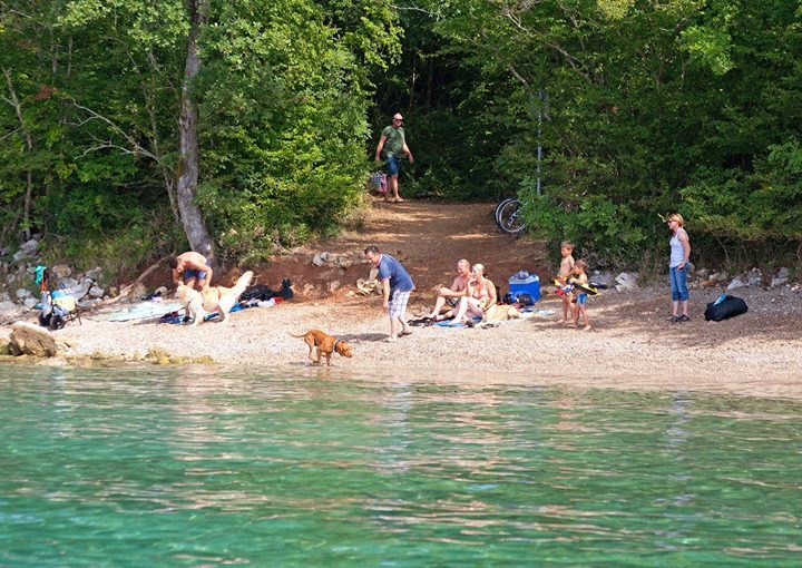 Dog beach, location Njivice. 🐕🐩
#KrkIsland #Kvarner #LoveCroatia #ShareCroatia #CroatiaFullOfLife ift.tt/2EyWtGb