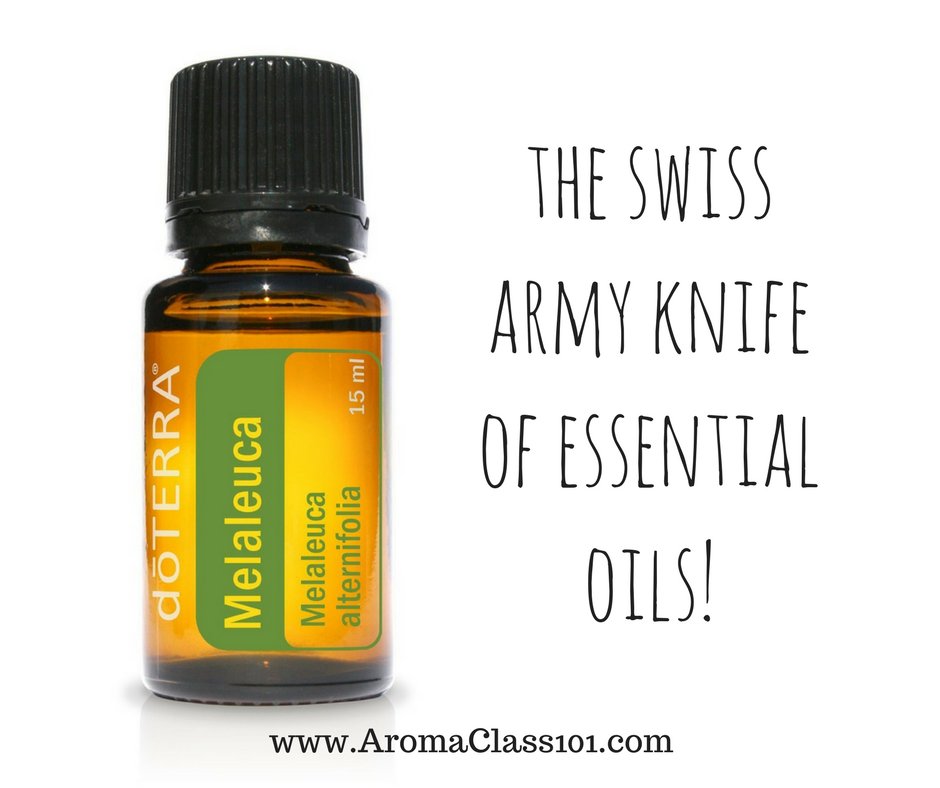 AromaClass101's tweet photo. Type "YES!" below if Tea Tree Oil (aka:  melaleuca) is on your "must-have" list! https://t.co/FbHeyjYekS