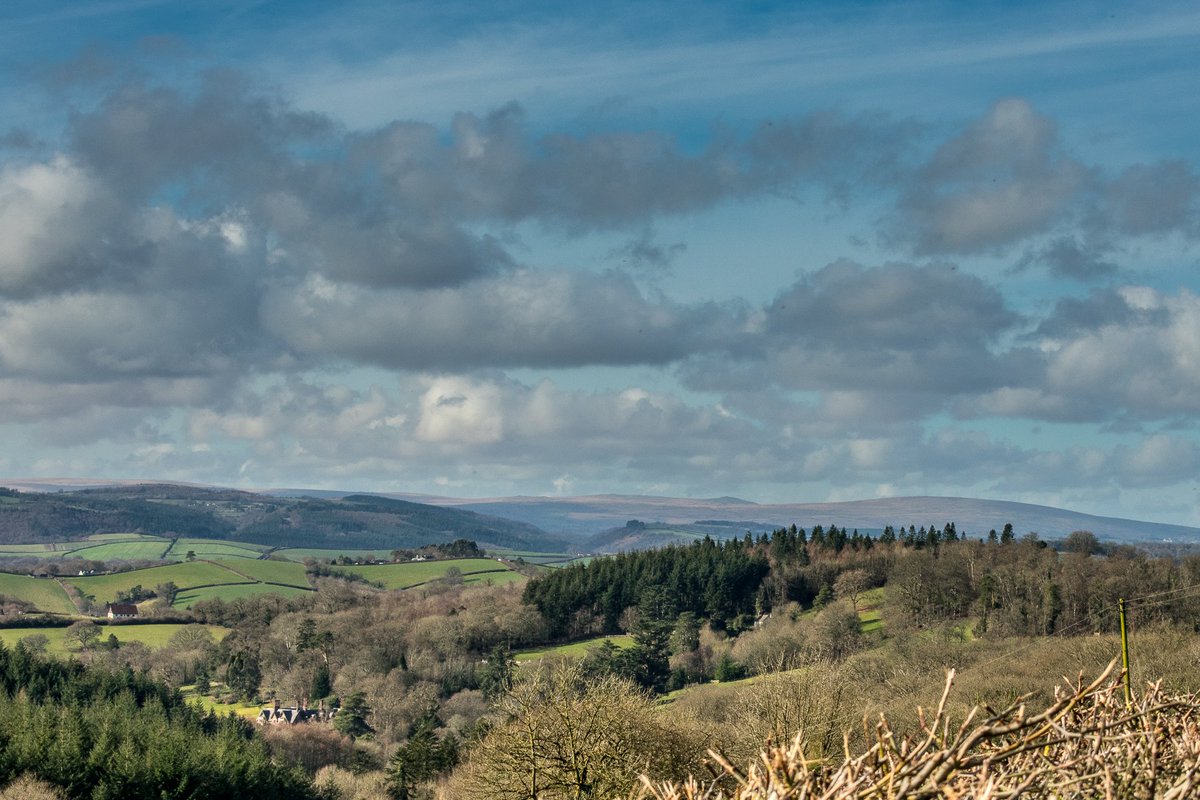JayHarris4's tweet image. Ollie had a blast @exeterlasertag and I went for a stroll!

#devon #devonviews #Lasertag