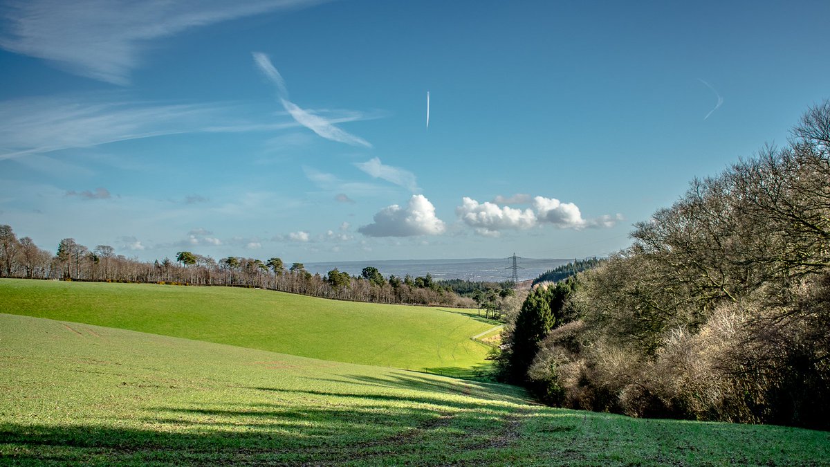 JayHarris4's tweet image. Ollie had a blast @exeterlasertag and I went for a stroll!

#devon #devonviews #Lasertag