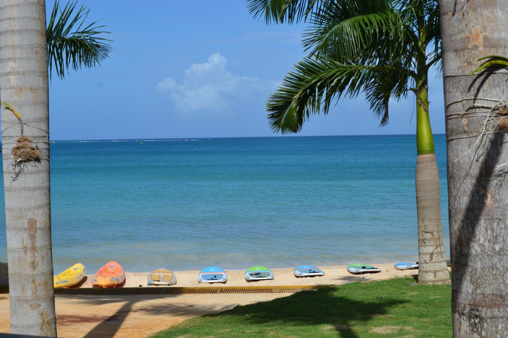 resortdiversja's tweet photo. Paddleboards, Fish Stalkers and More!!! https://t.co/9WQi3KjPoT https://t.co/fgYF0DNs0S