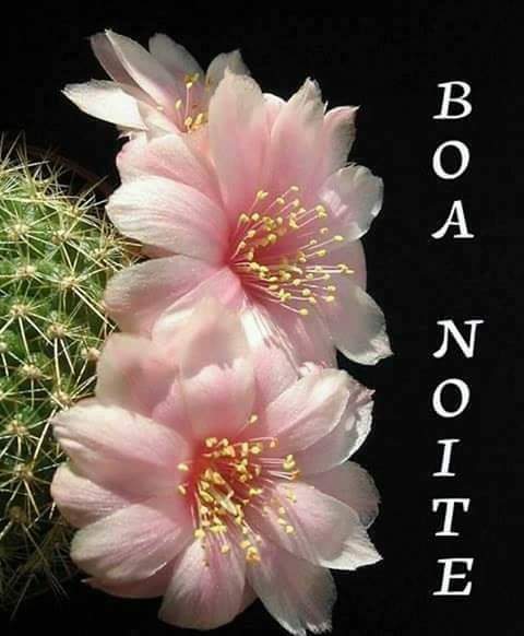 RinDoris's tweet photo. @SophiaTha1 @Only__Sweet @CheGain @gust1012 @DE_SILVIA_T @666_alhlwan @OMG_ImSoAwesome @litebrite1234XO @JMT_222 @lobowobsessao @BrettCateley @GoncaloValva10 @brasileiro1914 @nealhailey @Malinda1210 @CarlonetCarlo @Night_Wolf_1 @anie1215 @Fer_M66 @Sylpete @nu_vision_quest @AleFernandezRoa @CDawk1 @sodv_ @TeamSil_ @rebarbosa28 @Blondy__RD @aditya2209199 @Blondy_Oficial @WilfelJ @SIL_SPADAFORA_2 @Harrys1DEmpire @She_Gains @NitoPlaza @StellaMars2 @V2_N_St0 @Guthal18 💕🌹#TeamSil🌹 💕 https://t.co/c6ON5Qm55p