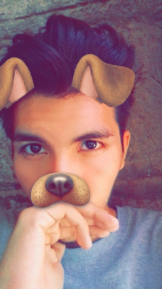 anthony_ducapo's tweet photo. el perro https://t.co/DhtIaI2mOj