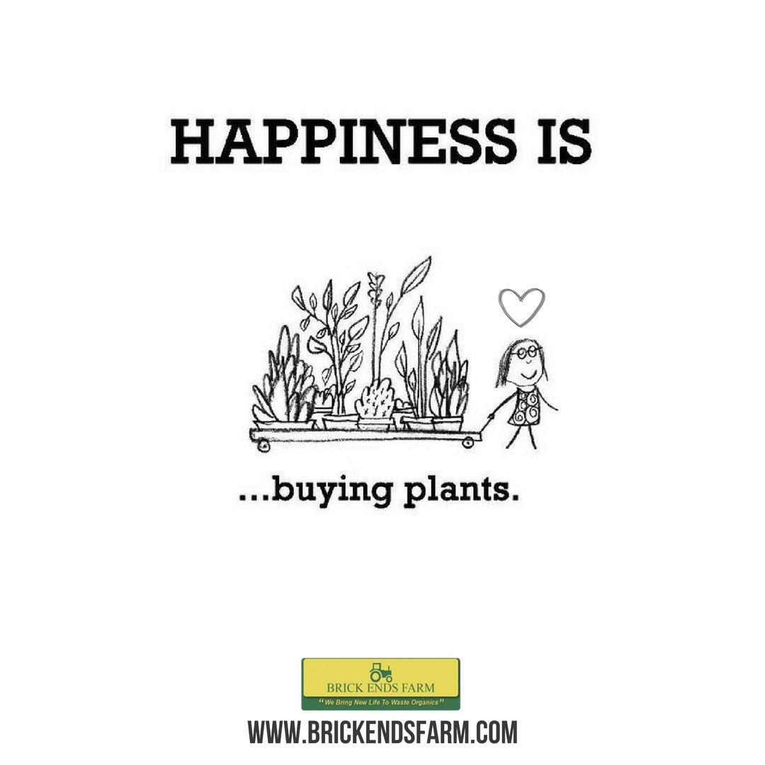 Brick Ends Farm It S Still A Little Early To Start Buying Your Plants For The Spring And Summer But We Can Dream Enjoy Your Weekend Brickendsfarm Bringsoiltolife Plants Garden Gardenplanning