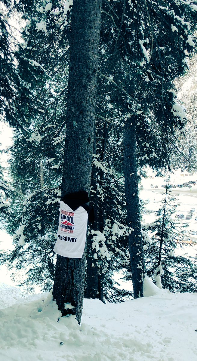 SandSkiTrip tweet media