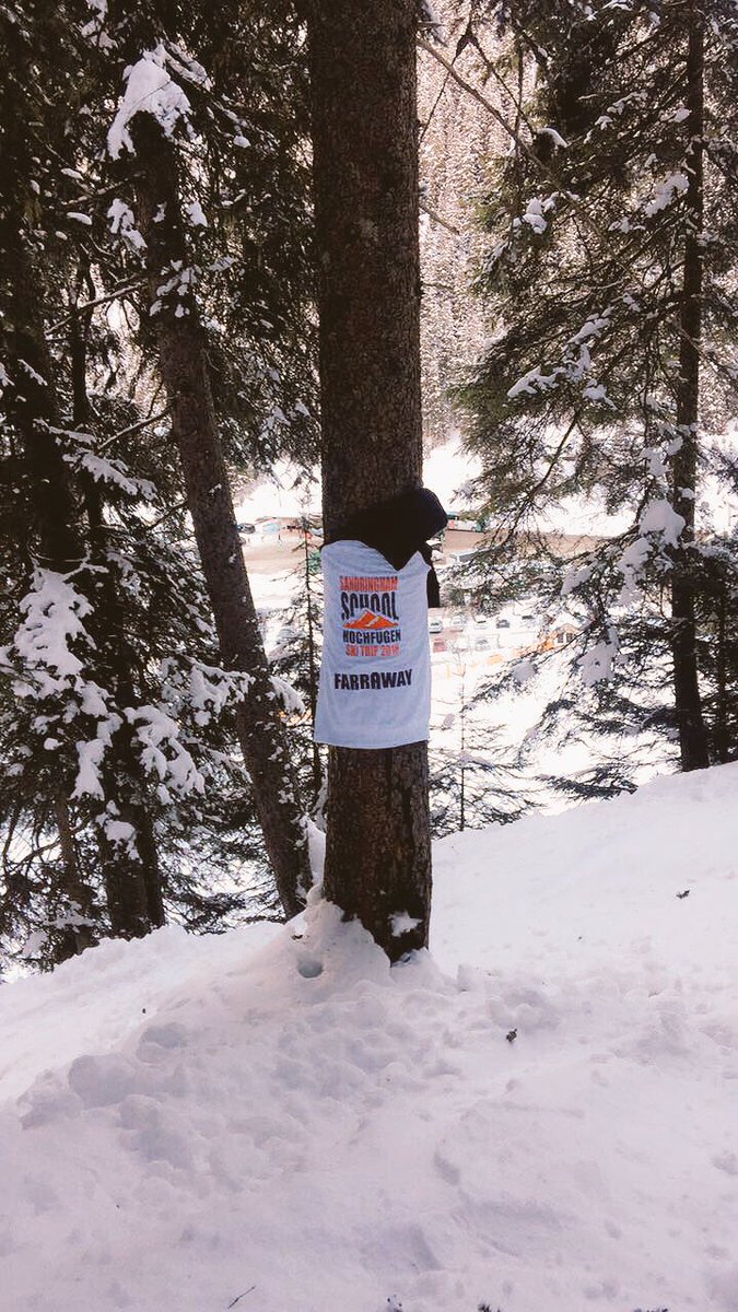 SandSkiTrip tweet media