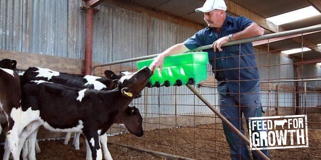FeedForGrowth's tweet photo. Did you see #TopTip1 when considering the best #calf feeding system for your needs? Here's #2: Skills available

🐮Who will do it?
🐮How experienced are they?
🐮What level of stockmanship is available?
🐮Who will do the job when key personnel are absent? https://t.co/0dtq01rwyN