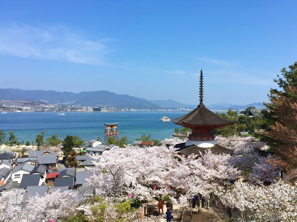 Voyapon_es's tweet photo. No olvides traerte la cámara para capturar las preciosas vistas del mar visto desde el Santuario Itsukushima, el Monte Misen o el teleférico de #Miyajima. ¡Es uno de los 3 paisajes más bellos de #Japón!
#NihonSankei #Turismo #日本三景 https://t.co/IvoGyqSfz4