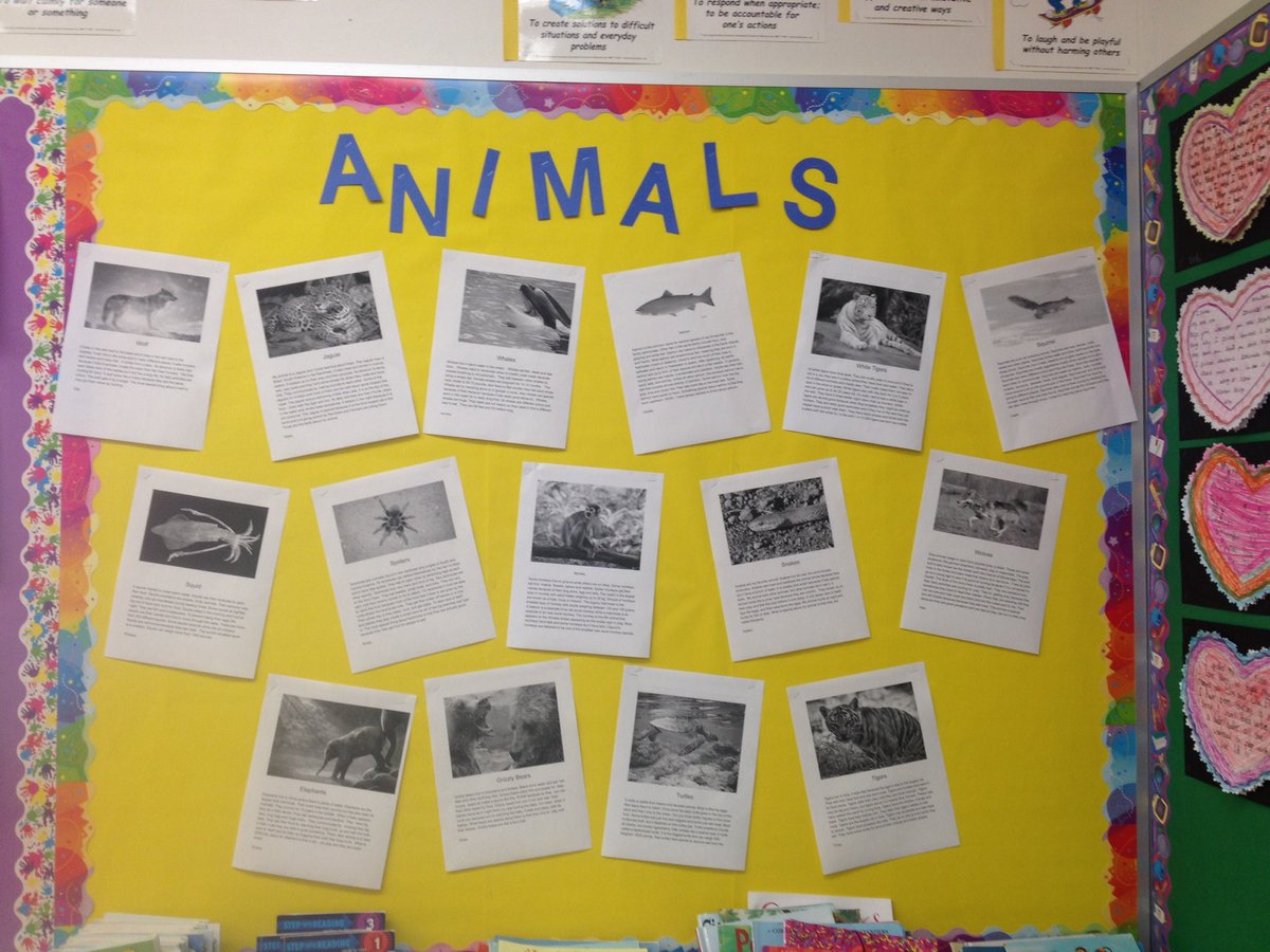 allysimmons13's tweet photo. My second graders using Google Docs to do their informational writing on animals. They loved learning new facts about their animal! Soooo fun!#rcsdchampions https://t.co/PkLy6Aw9Sa