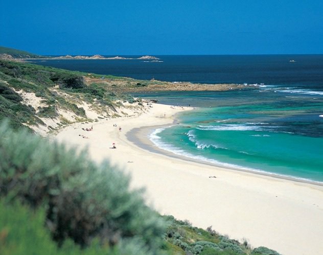 Travelnsp's tweet photo. Popular beaches in Australia  https://t.co/yTnP39XOZC #TravelAustralia #Beaches ☀️🌴⛵ https://t.co/3gIo9a3prV