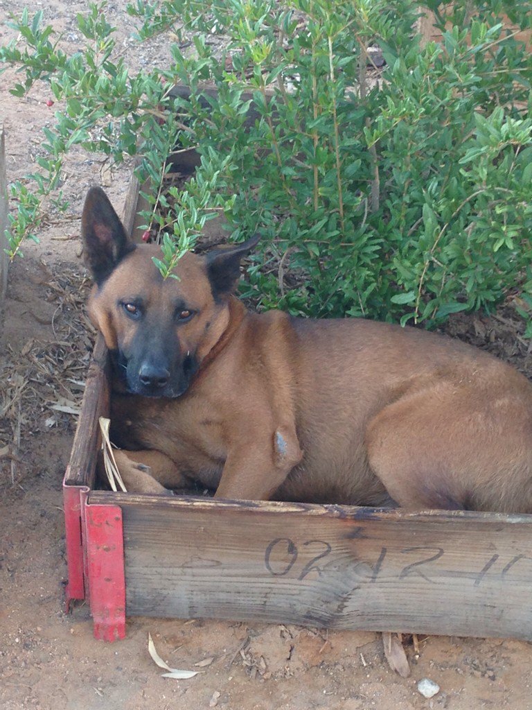 Rodney Aide tweet media