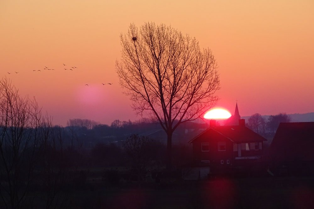 SteziLopez's tweet photo. Sunrise at Valentine's Day
#sunrise #winter #spring #nijmegen #zonsopkomst #lente https://t.co/6jCxGNEzYn