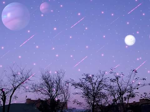 ربما لن يمشي في جنازتك سوى تلك القطط و العصافير التي قمت بإطعامها ! 💜