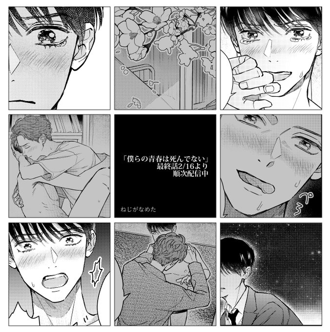 「僕らの青春は死んでない」最終話配信開始しております～!!何卒よろしくお願い致します。このマンガは告知画像のチョイスが難しい… 