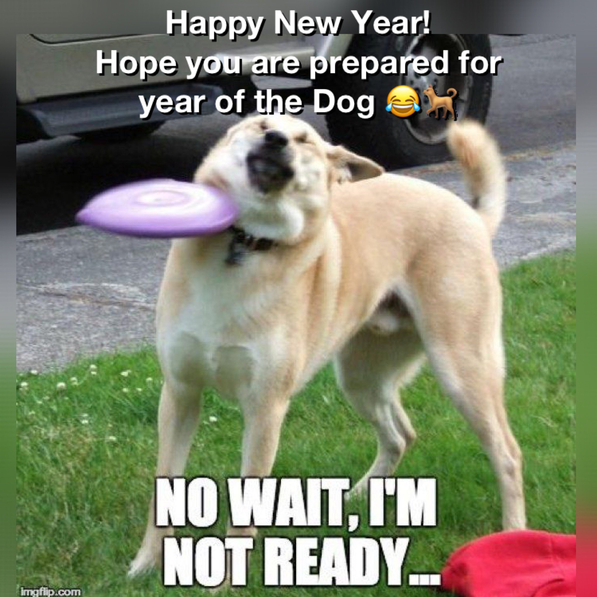 The2OC on Twitter: "Happy year of the dog! #Tet # ...