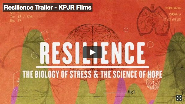 BUWheelock's tweet photo. Childhood Traumatic Stress: A Community Concern https://t.co/RjRoDUSnjY #socialwork #socialworkers #wheelockcollege #wheelocktoughenough https://t.co/ZTx6Tqt3hT