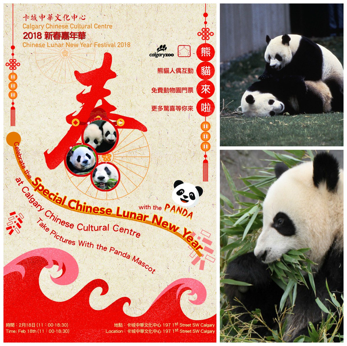 calgaryzoo's tweet photo. Happy #LunarNewYear! Thrilled to celebrate with the Calgary Chinese Cultural Centre this wknd on February 17/18! Official ceremony on the 18th will feature performances, speakers &amp; a special appearance by our panda mascot Bamboo. Come celebrate the year of the Dog! 🎉🎋 https://t.co/wFiVGnZ7Oq