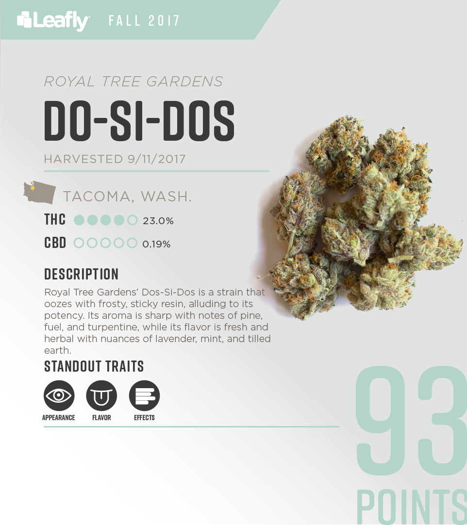 Leafly on Twitter: is an #indica-dominant #hybrid with qualities similar to its parent, Girl Scout Cookies. With glittering #trichomes, this #strain a feast for eyes. Learn about Do-Si-Dos by @