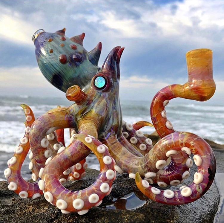 365BakedLife's tweet photo. #Florida #ChineseNewYear #PyeongChang2018 #octopus #sealife https://t.co/DBuv63HFF4