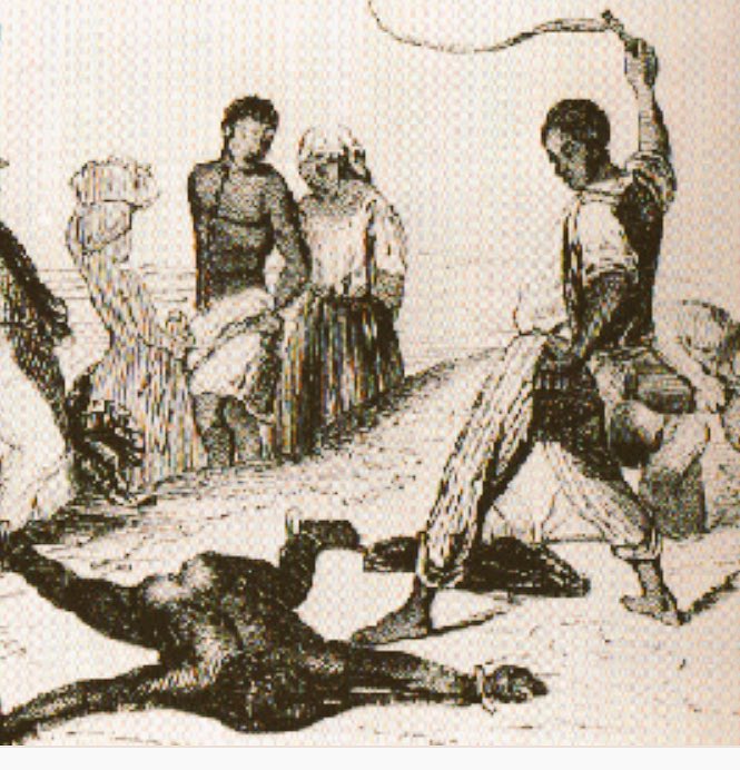 Cimarroninak1's tweet photo. This is what happens to those of us that don’t flee. This is suffering. It pains me to see this again. In 1530, we chose to be brave #cockpitresistance #freeatlast https://t.co/tRYg4Kotg8